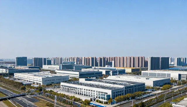 域名管理中应用场景的选择依据与常见问题处理